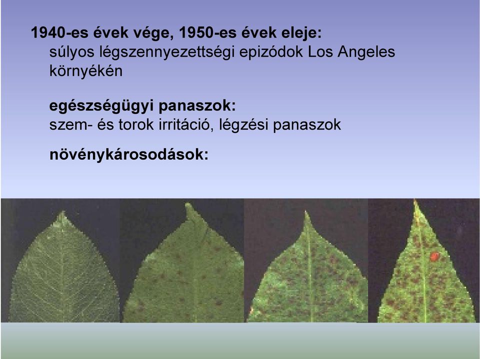 Angeles környékén egészségügy panaszok: