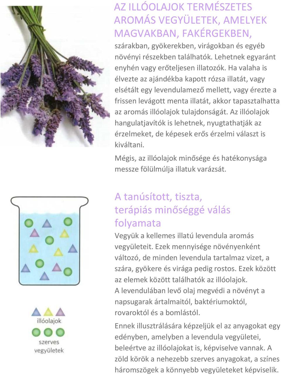 Ha valaha is élvezte az ajándékba kapott rózsa illatát, vagy elsétált egy levendulamező mellett, vagy érezte a frissen levágott menta illatát, akkor tapasztalhatta az aromás illóolajok tulajdonságát.