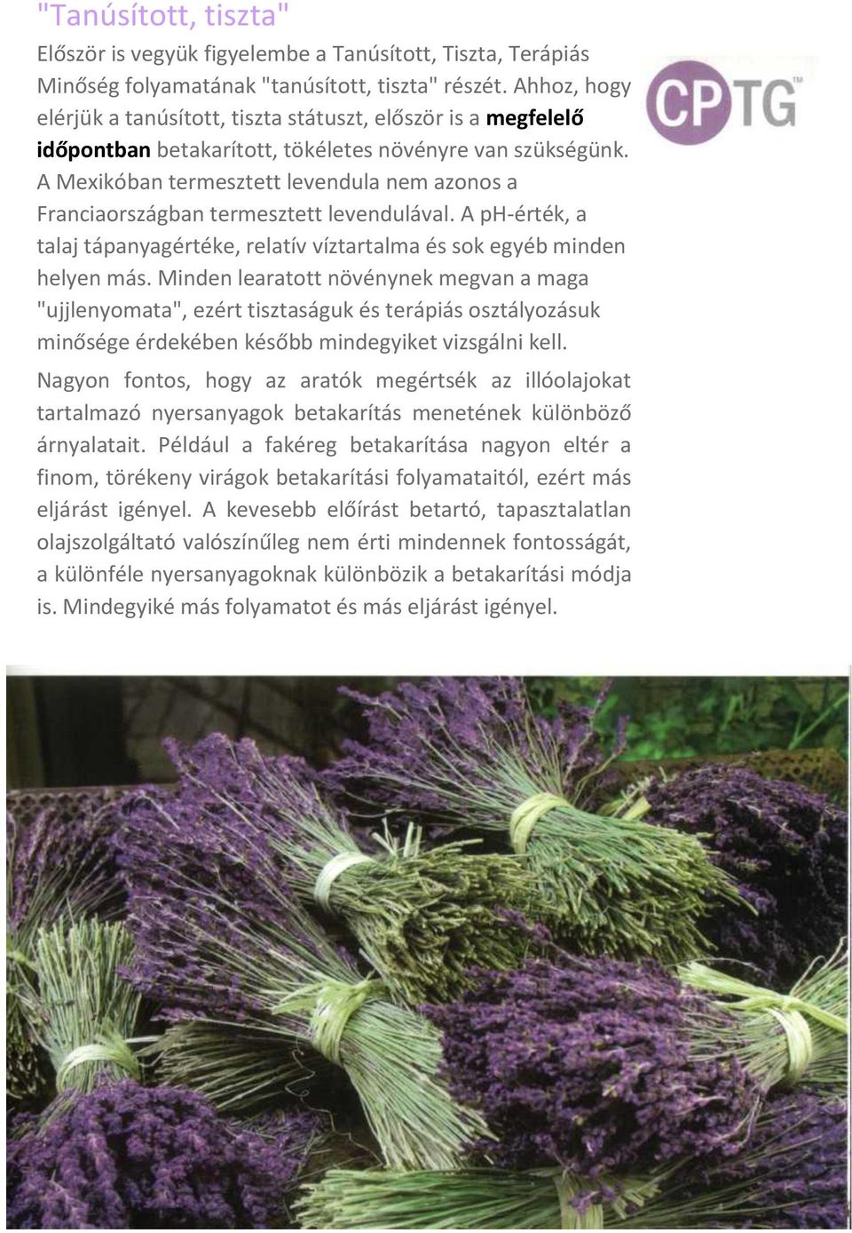 A Mexikóban termesztett levendula nem azonos a Franciaországban termesztett levendulával. A ph-érték, a talaj tápanyagértéke, relatív víztartalma és sok egyéb minden helyen más.