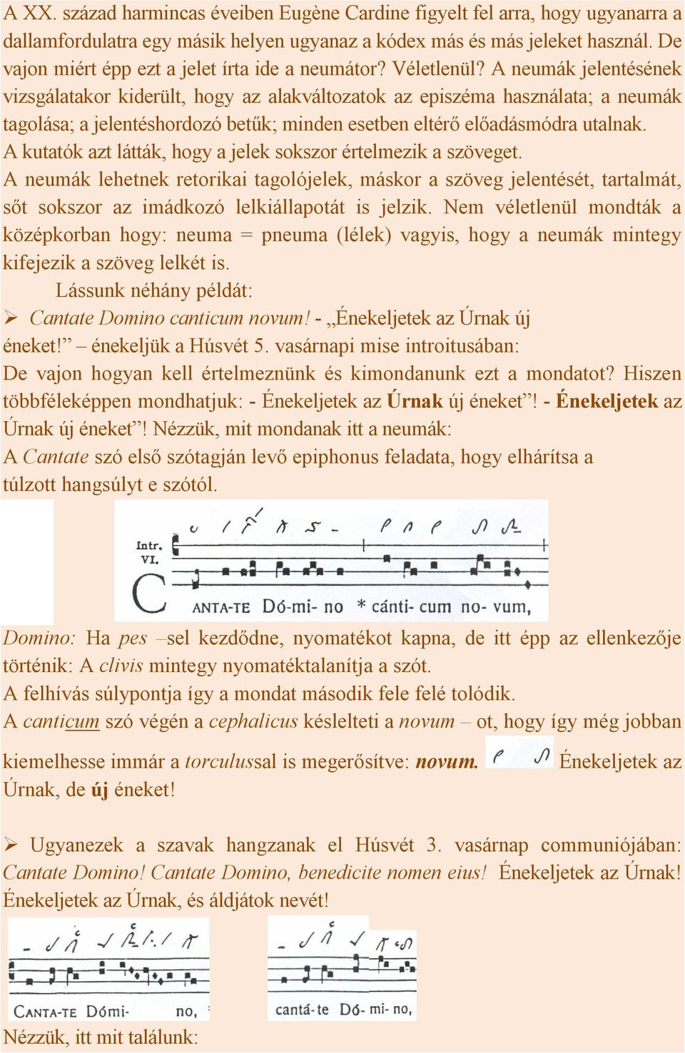 A neumák jelentésének vizsgálatakor kiderült, hogy az alakváltozatok az episzéma használata; a neumák tagolása; a jelentéshordozó betűk; minden esetben eltérő előadásmódra utalnak.