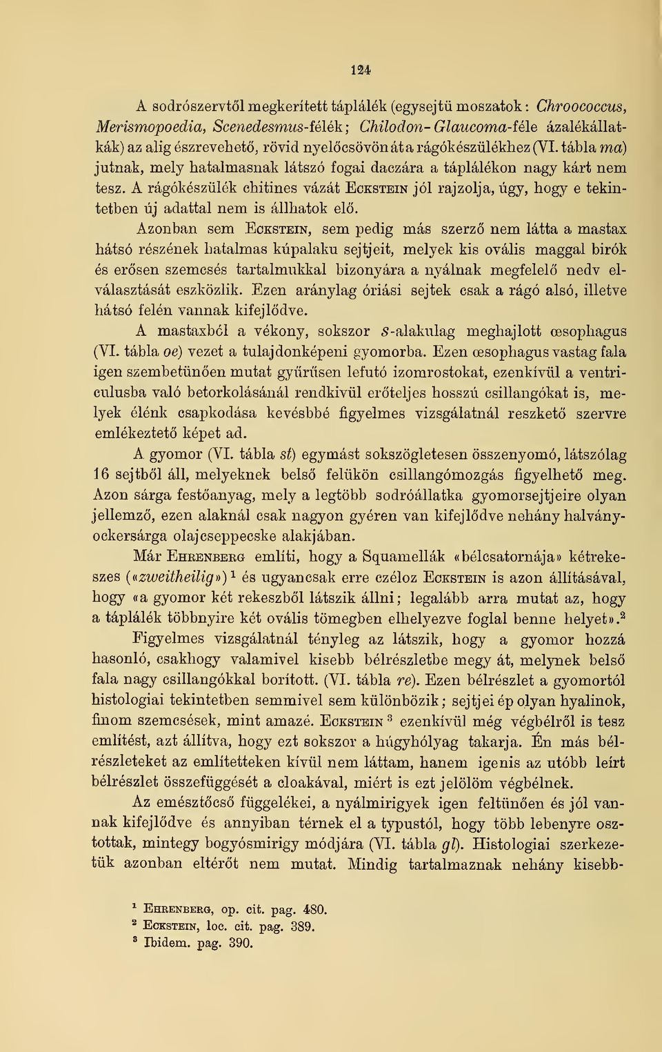 A rágókészülék chitines vázát Eckstein jól rajzolja, úgy, hogy e tekintetben új adattal nem is állhatok el.