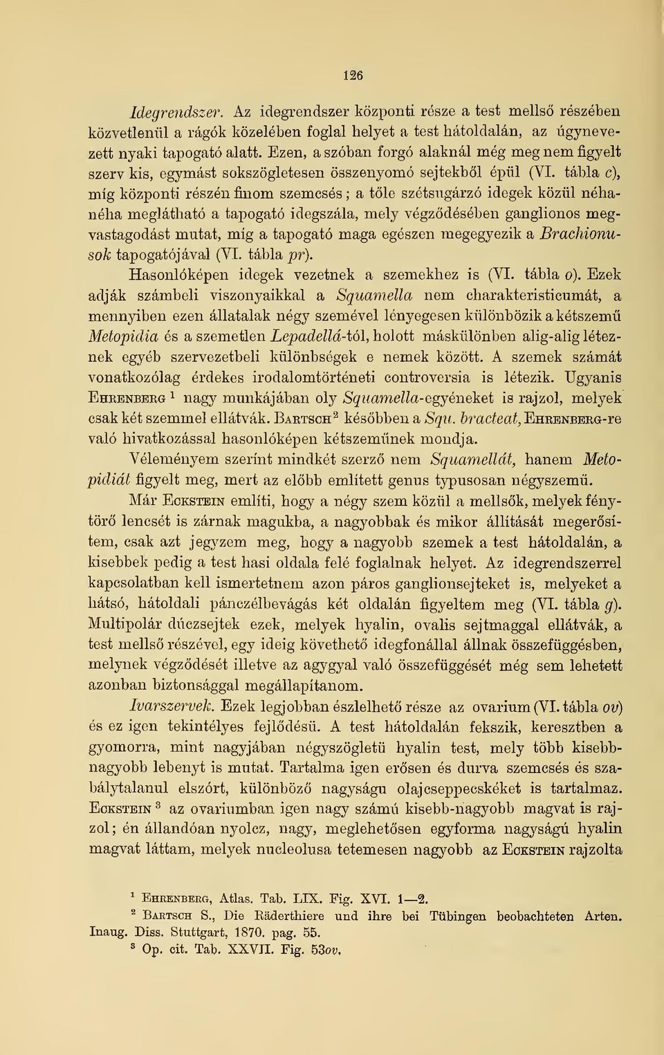 tábla c), míg központi részén finom szemcsés ; a tle szétsugárzó idegek közül néhanéha meglátható a tapogató idegszála, mely végzdésében ganglionos megvastagodást mutat, míg a tapogató maga egészen