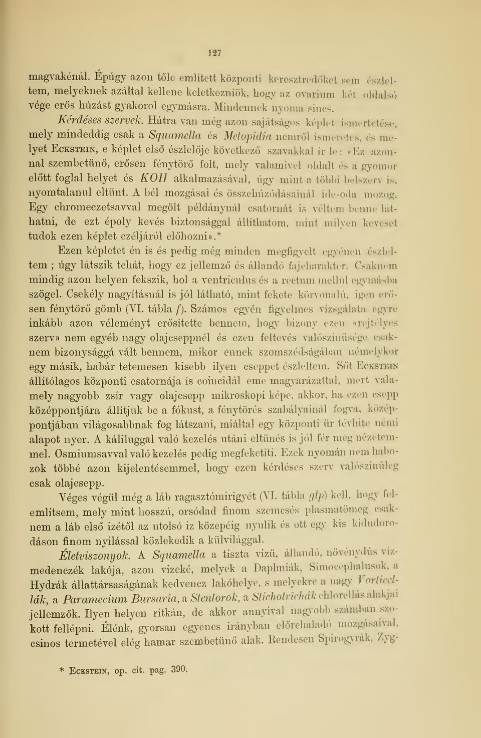 Hátra van még azon sajátságos képli I ism«rt mely mindeddig csak a Squamella és Metopidia nemrl is,,, 3 melyet Eckstein, e képlet els észlelje következ szavakkal ír li : iea asonnal szembetn, ersen