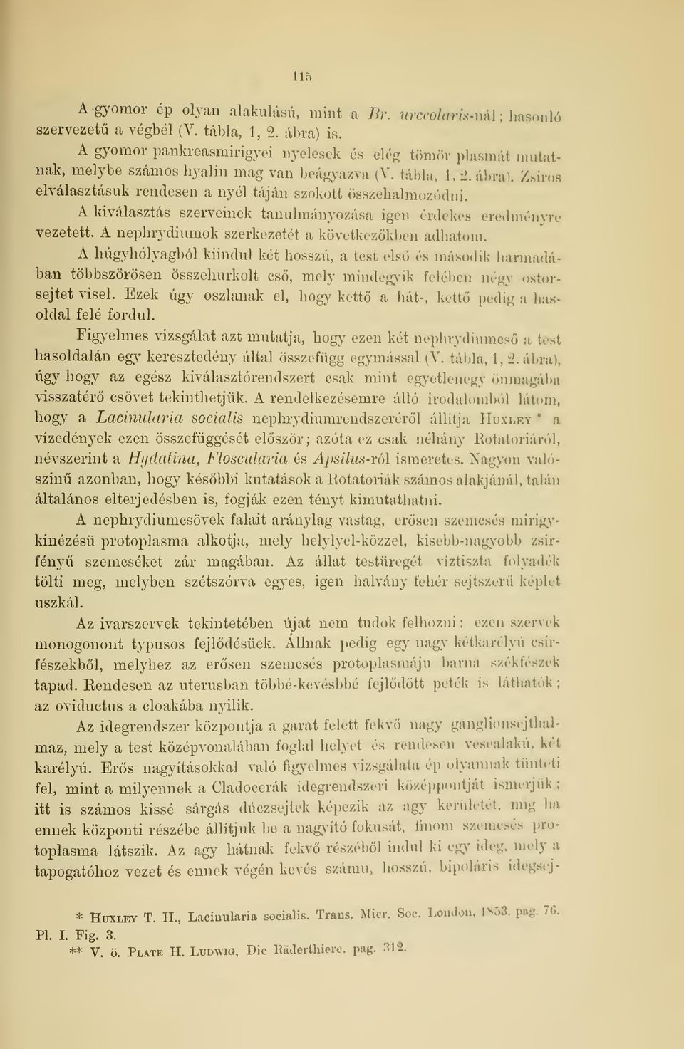 Zsíros Akiválasztás szerveinek tanulmányozása igen érd redményre vezetett. A nepbrydiumok szerkezetét a következkben adhatom.