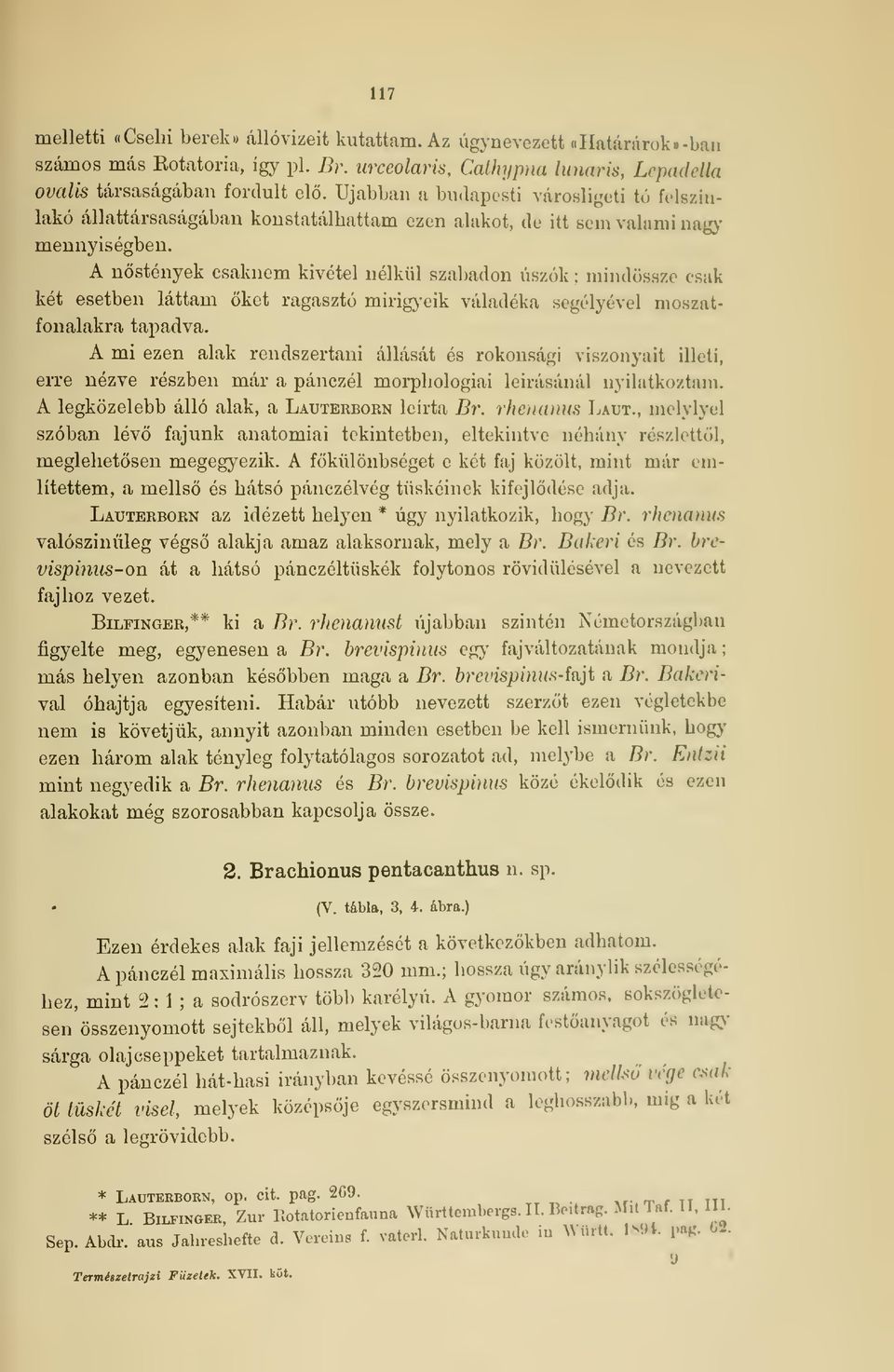 A nstények csaknem kivétel nélkül szabadon úszók : mindössze csak két esetben láttam ket ragasztó mirigyeik váladéka segélyével mi fonalakra tapadva.