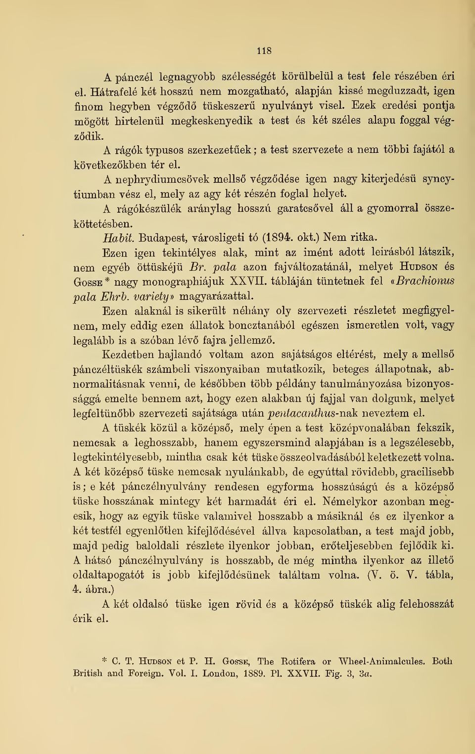 A nephrydiumcsövek mells végzdése igen nagy kiterjedés syncytiumban vész el, mely az agy két részén foglal helyet. A rágókészülék aránylag hosszú garatcsvel áll a gyomorral összeköttetésben. Habit.