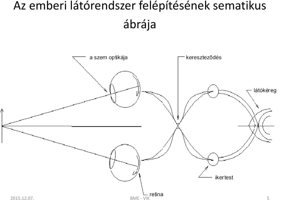 felépítésének