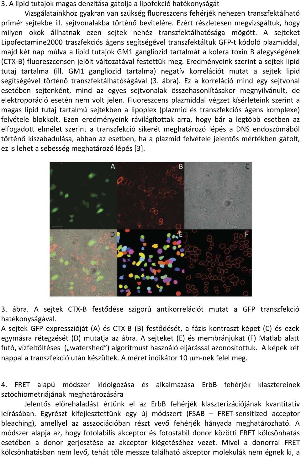 A sejteket Lipofectamine2000 traszfekciós ágens segítségével transzfektáltuk GFP t kódoló plazmiddal, majd két nap múlva a lipid tutajok GM1 gangliozid tartalmát a kolera toxin B alegységének (CTX B)