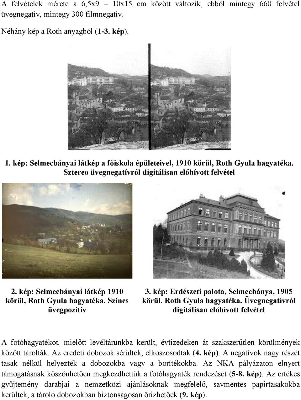 Roth Gyula hagyatéka. Üvegnegatívról digitálisan előhívott felvétel A fotóhagyatékot, mielőtt levéltárunkba került, évtizedeken át szakszerűtlen körülmények között tárolták.