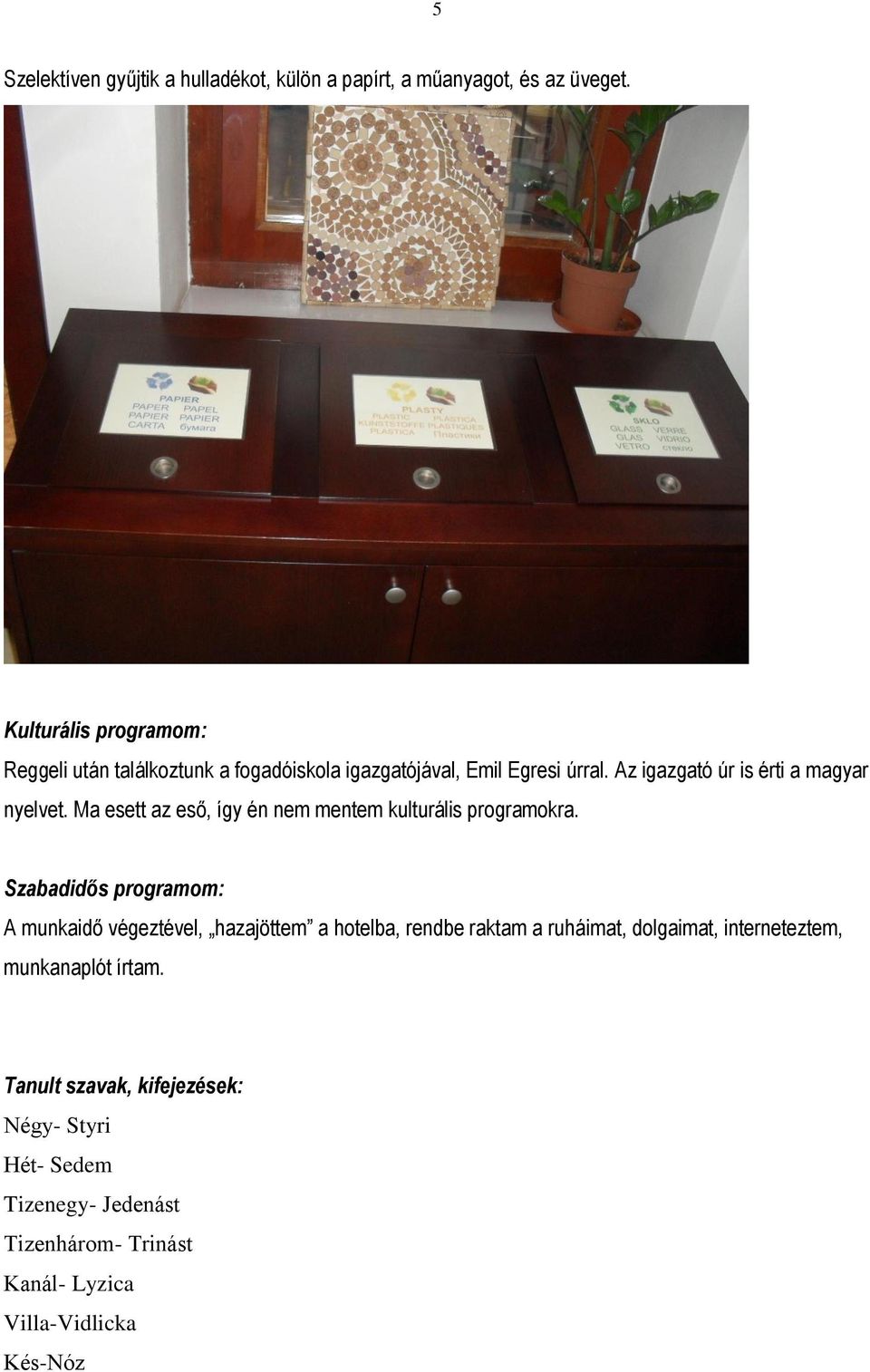 Az igazgató úr is érti a magyar nyelvet. Ma esett az eső, így én nem mentem kulturális programokra.