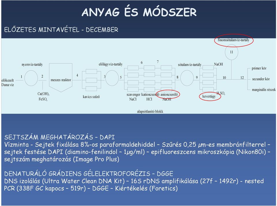 Vízminta - Sejtek fixálása 8%-os paraformaldehiddel Szőrés 0,25 µm-es membránfilterrel sejtek festése DAPI (diamino-fenilindol 1µg/ml) epifluoreszcens mikroszkópia (Nikon80i) sejtszám