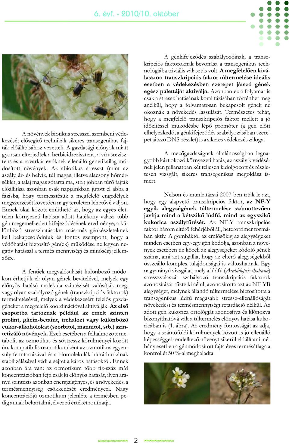 Az abiotikus stresszt (mint az aszály, ár- és belvíz, túl magas, illetve alacsony hőmérséklet, a talaj magas sótartalma, stb.