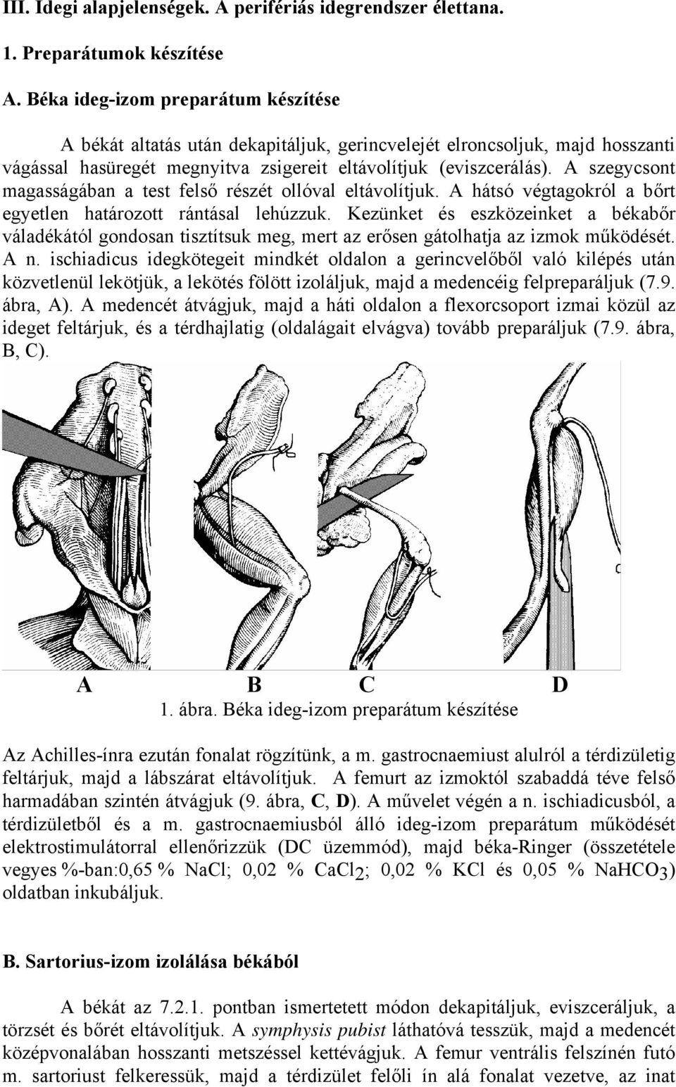 A szegycsont magasságában a test felső részét ollóval eltávolítjuk. A hátsó végtagokról a bőrt egyetlen határozott rántásal lehúzzuk.