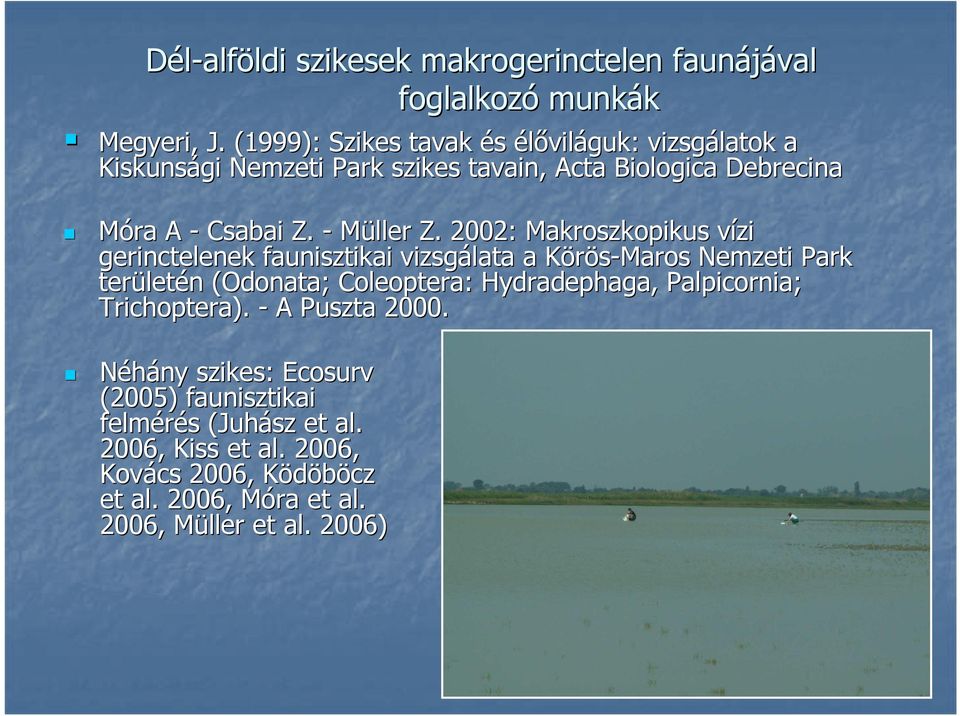 2002: Makroszkopikus opikus vízi gerinctelenek faunisztikai vizsgálata a Körös-Maros K Nemzeti Park terület letén n (Odonata( Odonata; Coleoptera: