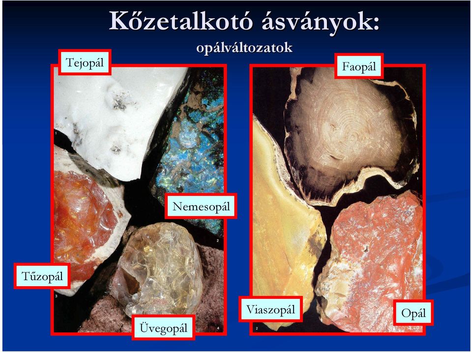 opálváltozatok Faopál