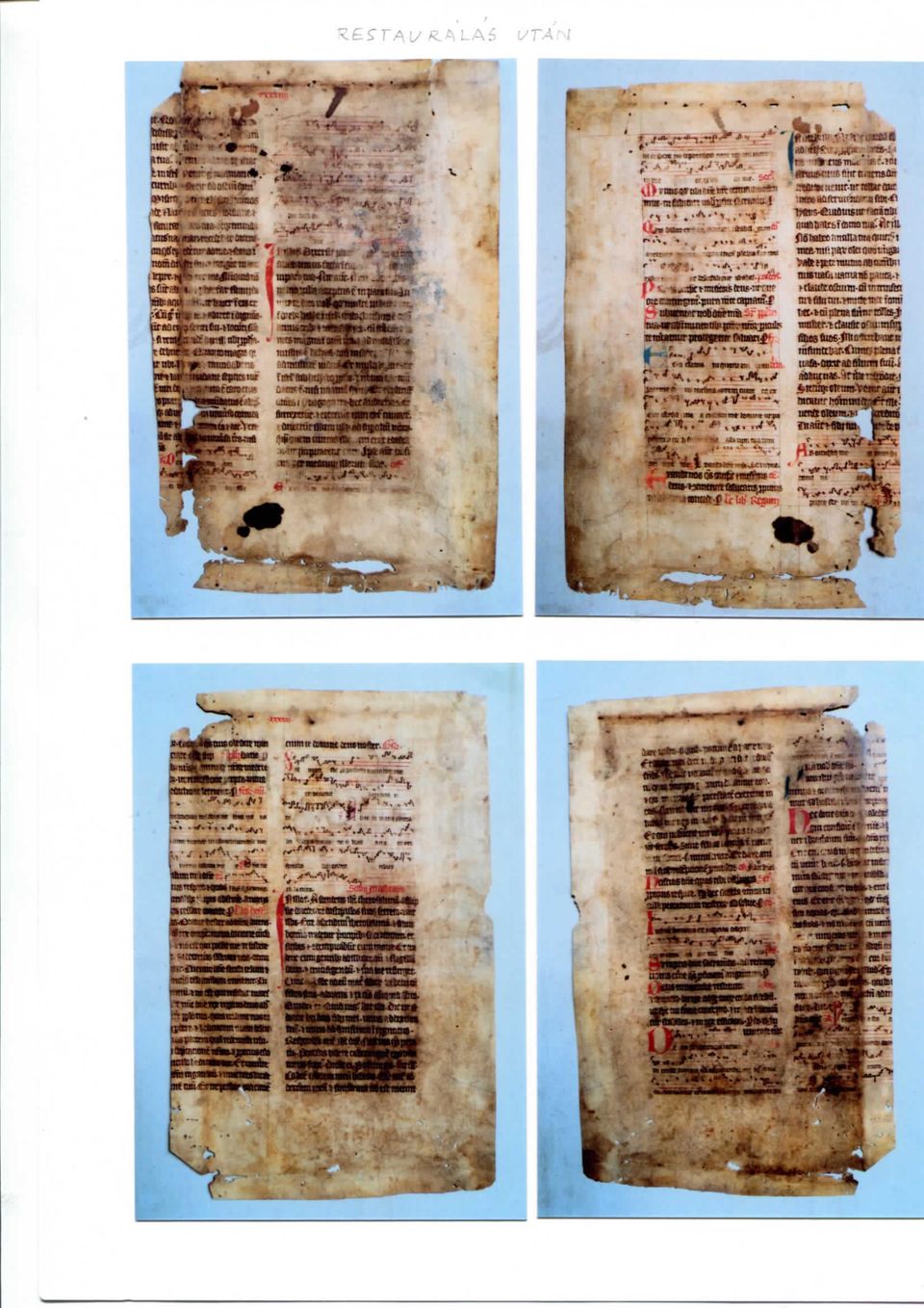 Unrrfoitr ik-matnrtiiqra' ifin-tiotttrf, irntn.lt DC. Tminoi^ x famtt, i -imeoratt ~6in4ilRat3t"iia.; ti-'ifl.v'i - frvtifflii:,._^-jri-:n* «it n;.; t tlautcnllami-in intntfed mifilntui.w.