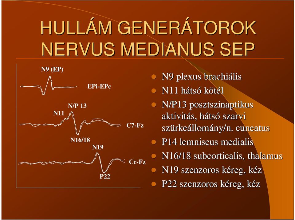 aktivitás, hátsh tsó szarvi szürke rkeállomány/n.