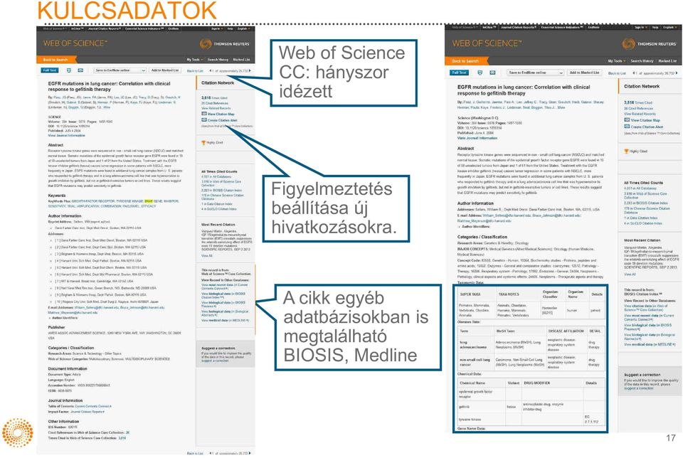 beállítása új hivatkozásokra.