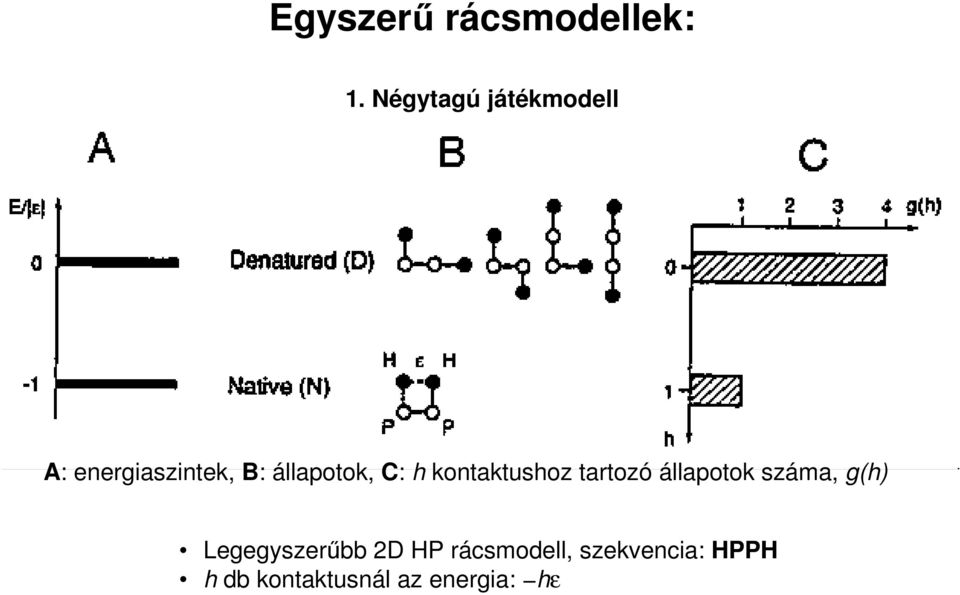 állapotok, C: h kontaktushoz tartozó állapotok