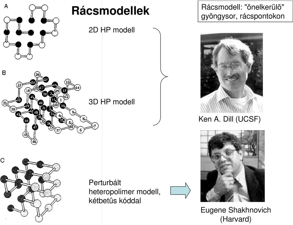 modell Ken A.