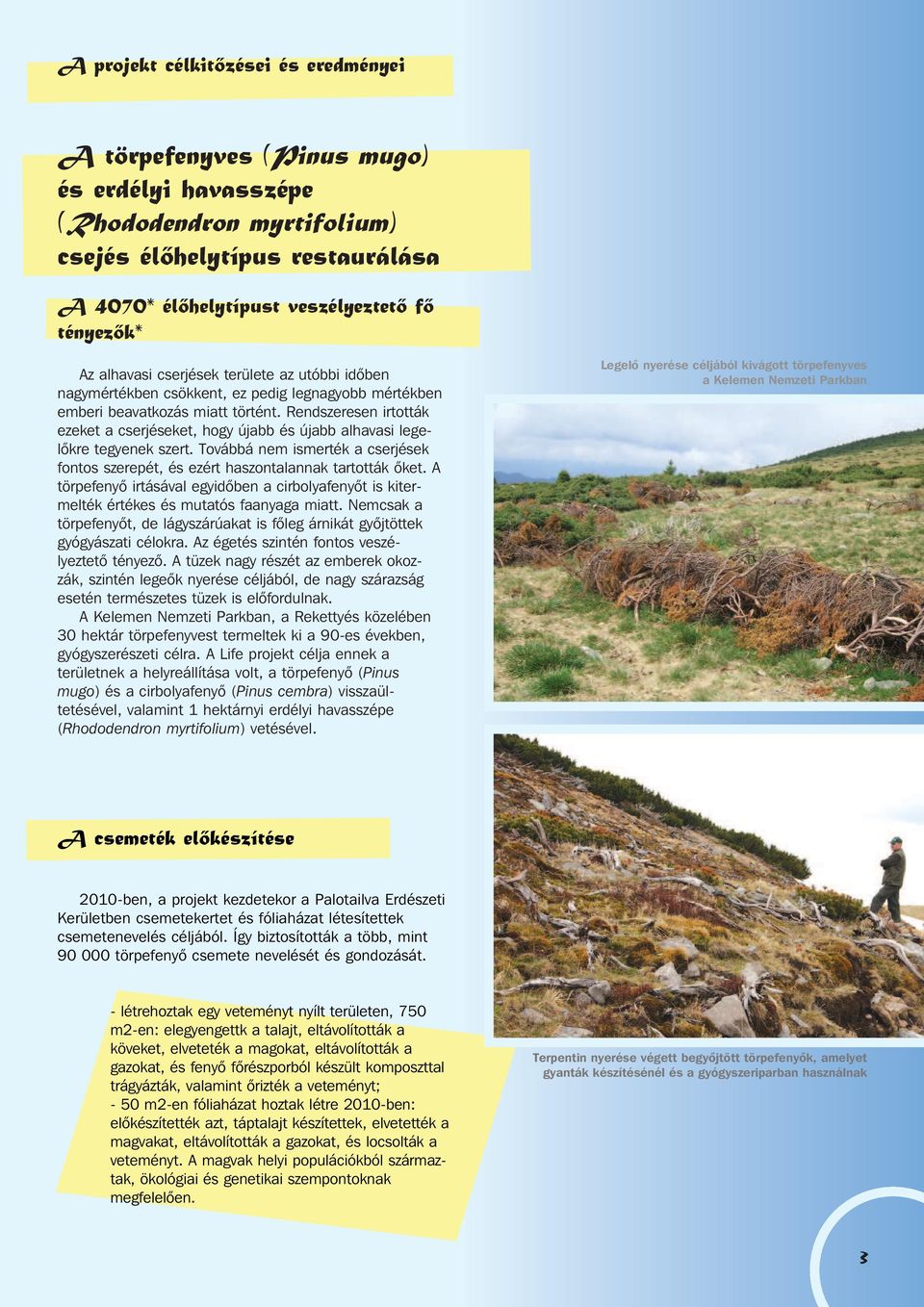 Rendszeresen irtották ezeket a cserjéseket, hogy újabb és újabb alhavasi legelõkre tegyenek szert. Továbbá nem ismerték a cserjések fontos szerepét, és ezért haszontalannak tartották õket.