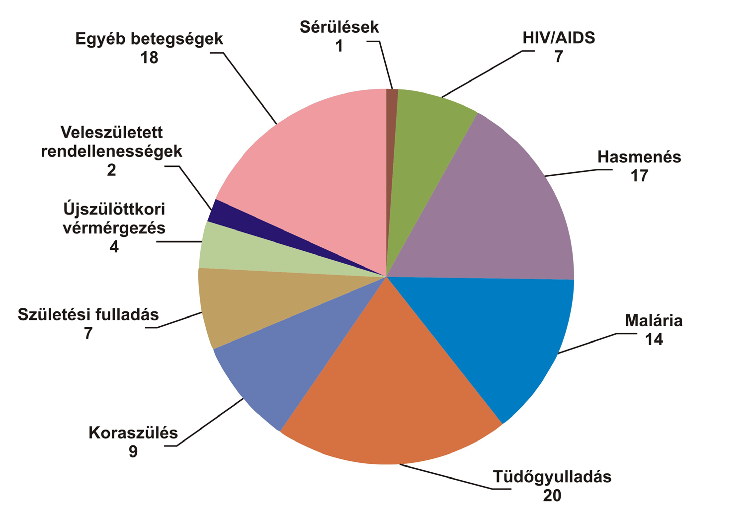 Egyéb betegségek 18 Sérülések 1 HIV/AIDS 7 Veleszületett rendellenességek 2 Újszülöttkori vérmérgezés 4 Hasmenés 17 Születési fulladás 7 Malária 14 Koraszülés 9 Tüdőgyulladás 20 12.