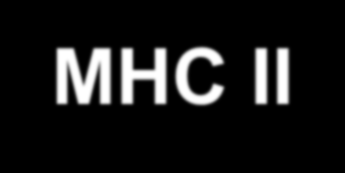 Milyen sejtek expresszálnak MHC-I és MHC-II molekulákat?