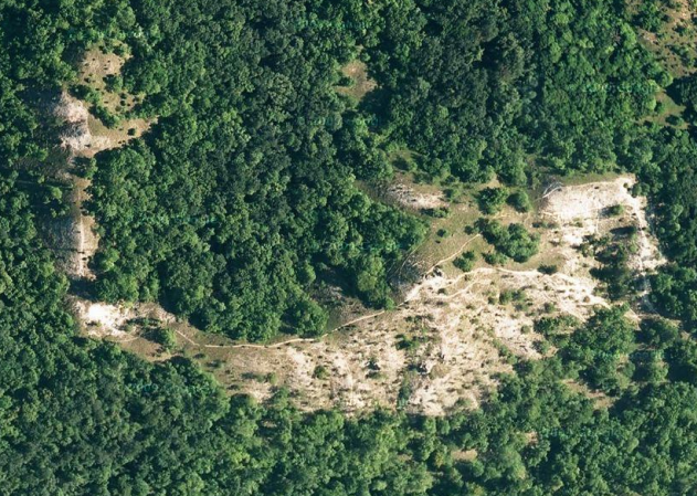 0,5 ha) - A foltok összterülete legfeljebb a részlet 1/5- ét fedheti le -- terméketlen foltok esetében a termőhelyhibát közvetlen vagy közvetett termőhelyfeltárással kell alátámasztani Eloszlás