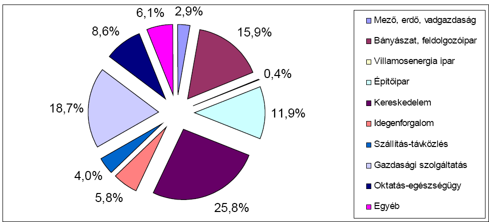A működő vállalkozások száma 202-ben 256 db. Megoszlásukat szemlélteti az alábbi táblázat. 5.