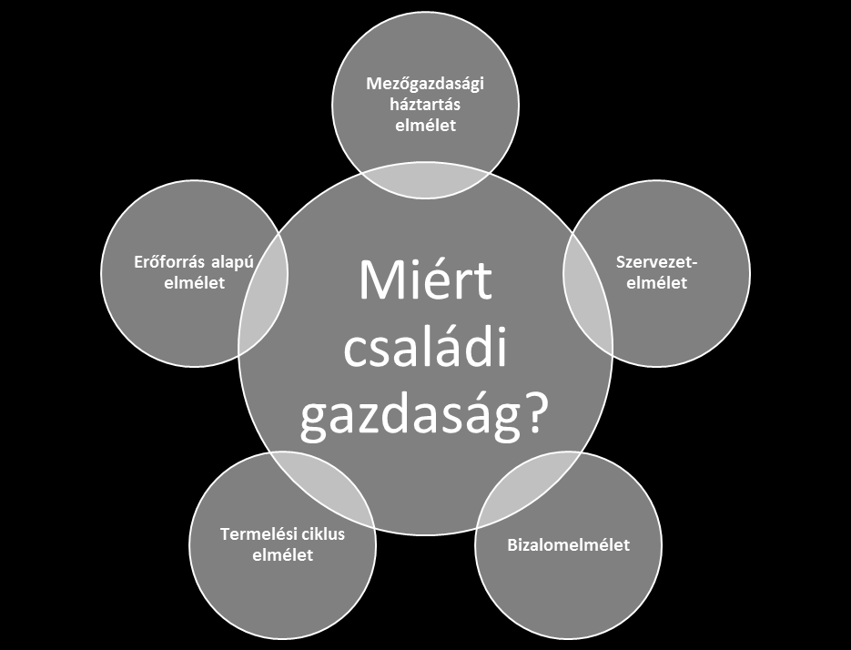 Elméletek Miért családi gazdaság?