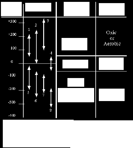 REDOX potenciál (ORP)= Redukció Oxidáció BIOKÉMIAI REAKCIÓ ORP (mv) Nitrifikáció +350 >ORP> 100 Szervesanyag degradáció +250 >ORP> +50 Biológiai foszfor eltávolítás +250 >ORP> +25 Denitrifikáció +50