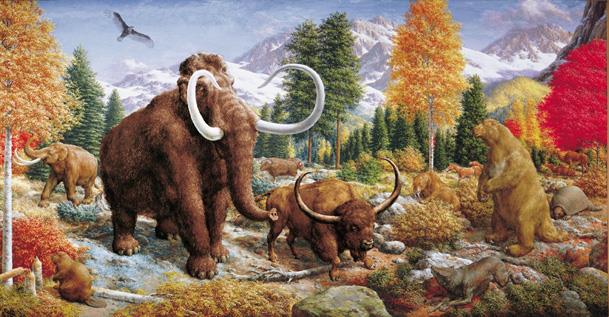 History Masztodon (Mammut americanum), bölény,