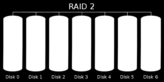 A RAID 2 használja a csíkokra bontás módszerét, emellett egyes meghajtókat hibajavító kód (ECC: Error Correcting Code) tárolására tartanak fenn.