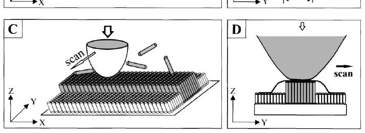 DNS NANOBOROTVÁLÁS A DNS nanoborotválás (nanoshaving) és alkalmazása Az eljárás elve: a felületre felvitt DNS réteg eltávolítása a pásztázó tű nyomásának növelésével