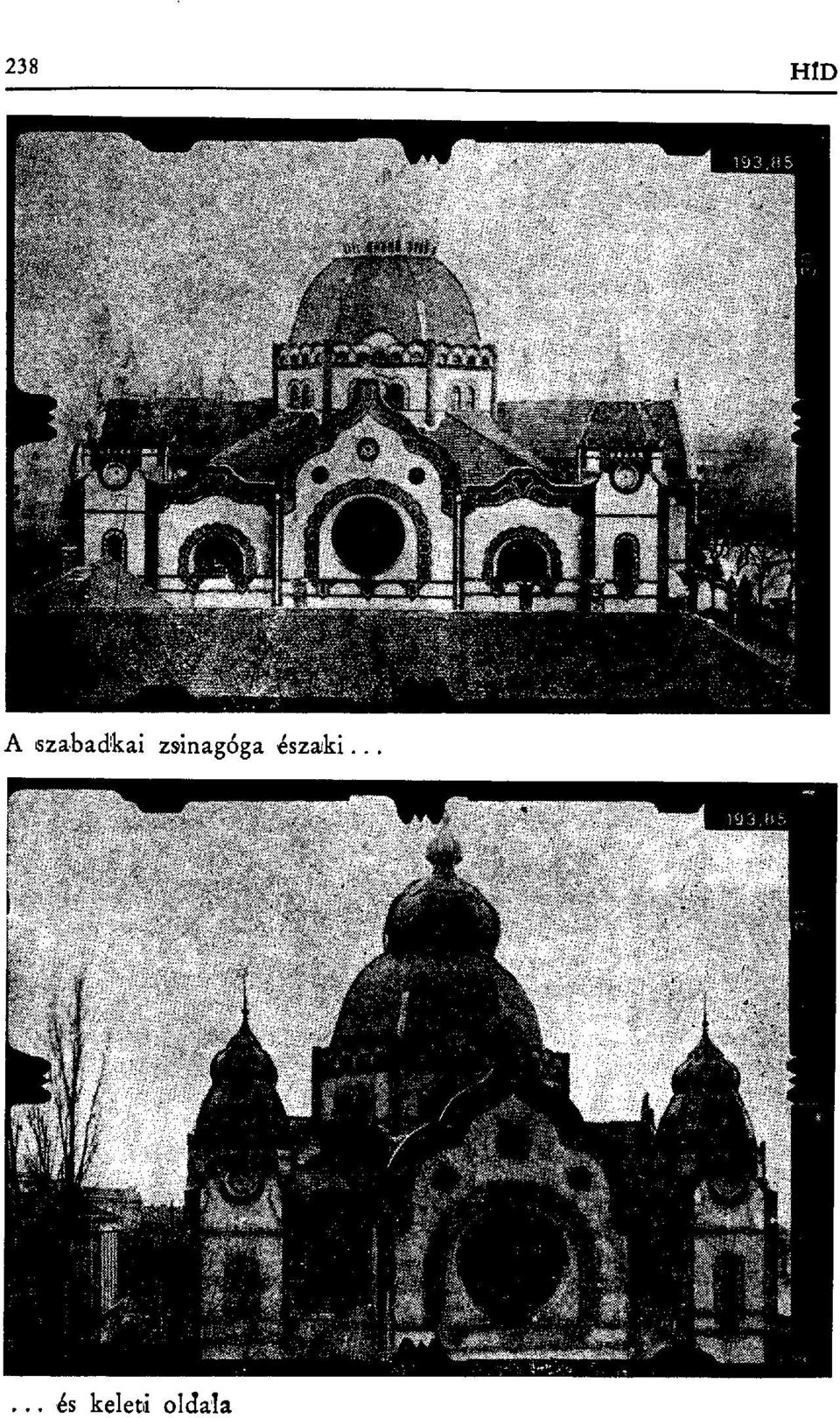 zsinagóga