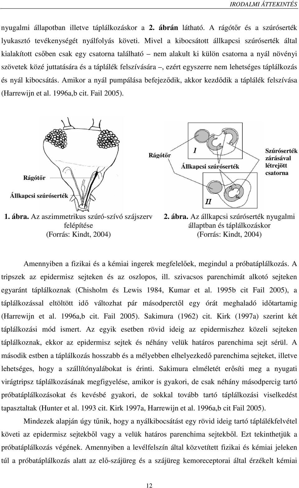 egyszerre nem lehetséges táplálkozás és nyál kibocsátás. Amikor a nyál pumpálása befejeződik, akkor kezdődik a táplálék felszívása (Harrewijn et al. 1996a,b cit. Fail 2005).