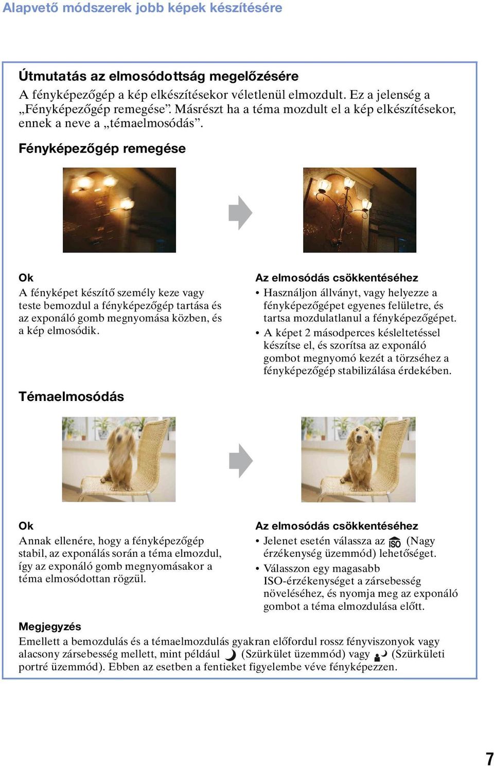 Fényképezőgép remegése Ok A fényképet készítő személy keze vagy teste bemozdul a fényképezőgép tartása és az exponáló gomb megnyomása közben, és a kép elmosódik.