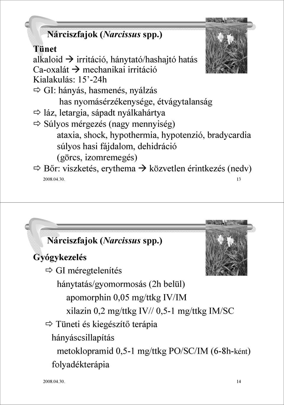 letargia, sápadt nyálkahártya Súlyos mérgezés (nagy mennyiség) ataxia, shock, hypothermia, hypotenzió, bradycardia súlyos hasi fájdalom, dehidráció (görcs, izomremegés) Bır: