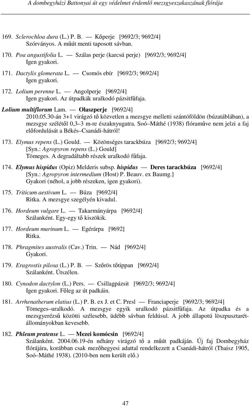 Az útpadkák uralkodó pázsitfűfaja. Lolium multiflorum Lam. Olaszperje [9692/4] 2010.05.