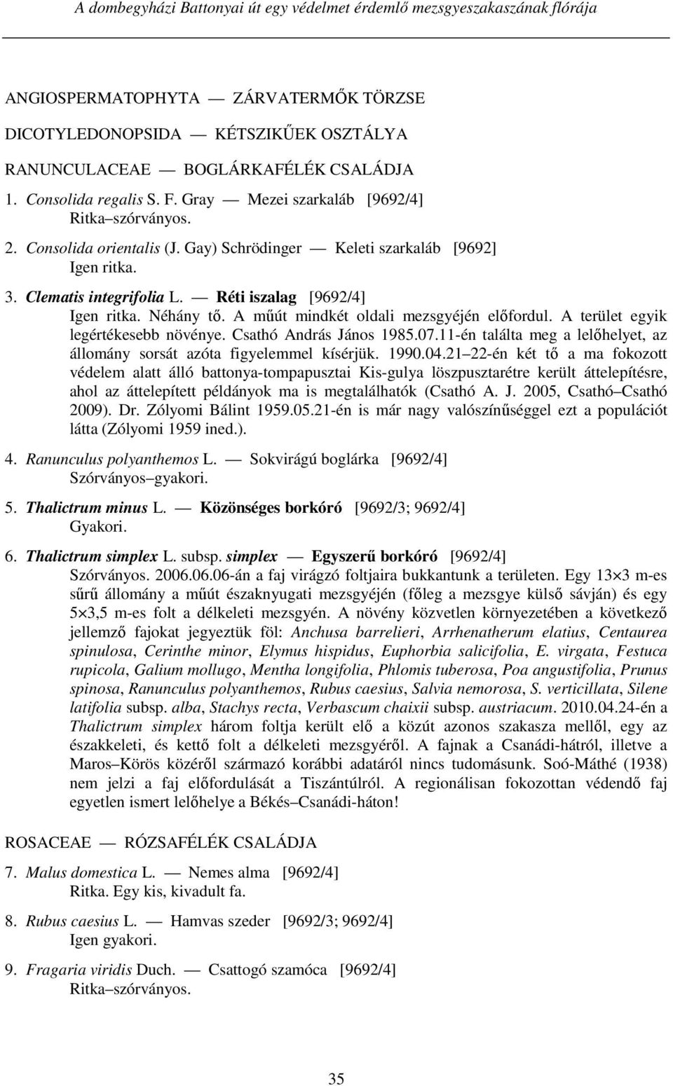 Néhány tő. A műút mindkét oldali mezsgyéjén előfordul. A terület egyik legértékesebb növénye. Csathó András János 1985.07.11-én találta meg a lelőhelyet, az állomány sorsát azóta figyelemmel kísérjük.