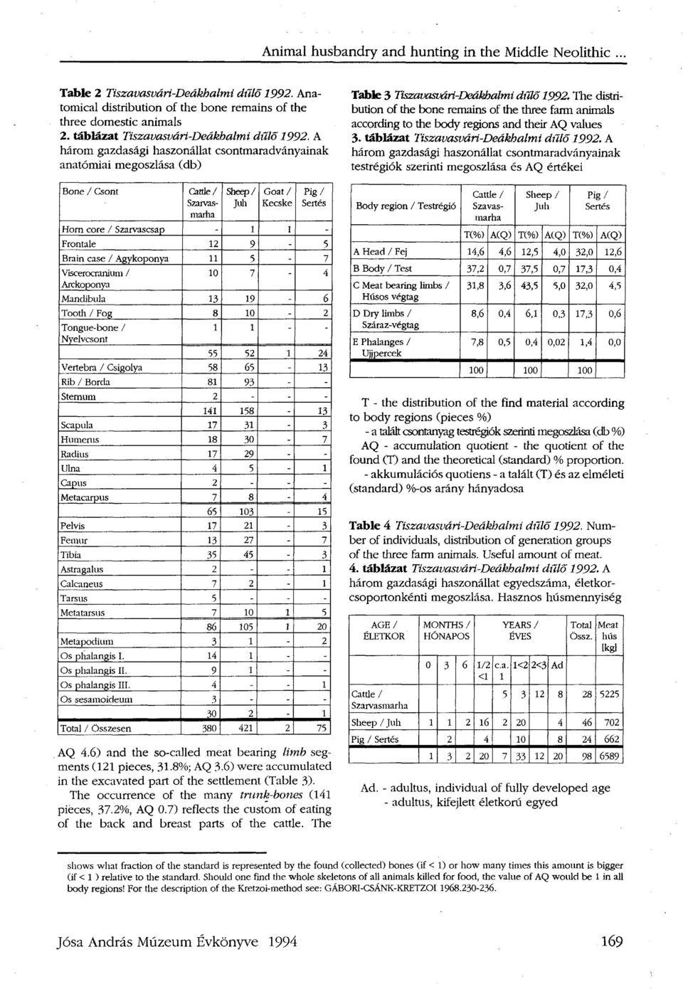 A három gazdasági haszonállat csontmaradványainak anatómiai megoszlása (db) Bone / Csont Cattle/ Sheep/ Goat/ Pig/ Szarvasmarha Juh Kecske Sertés Horn core / Szarvascsap - 1 1 - Frontale 12 9-5 Brain