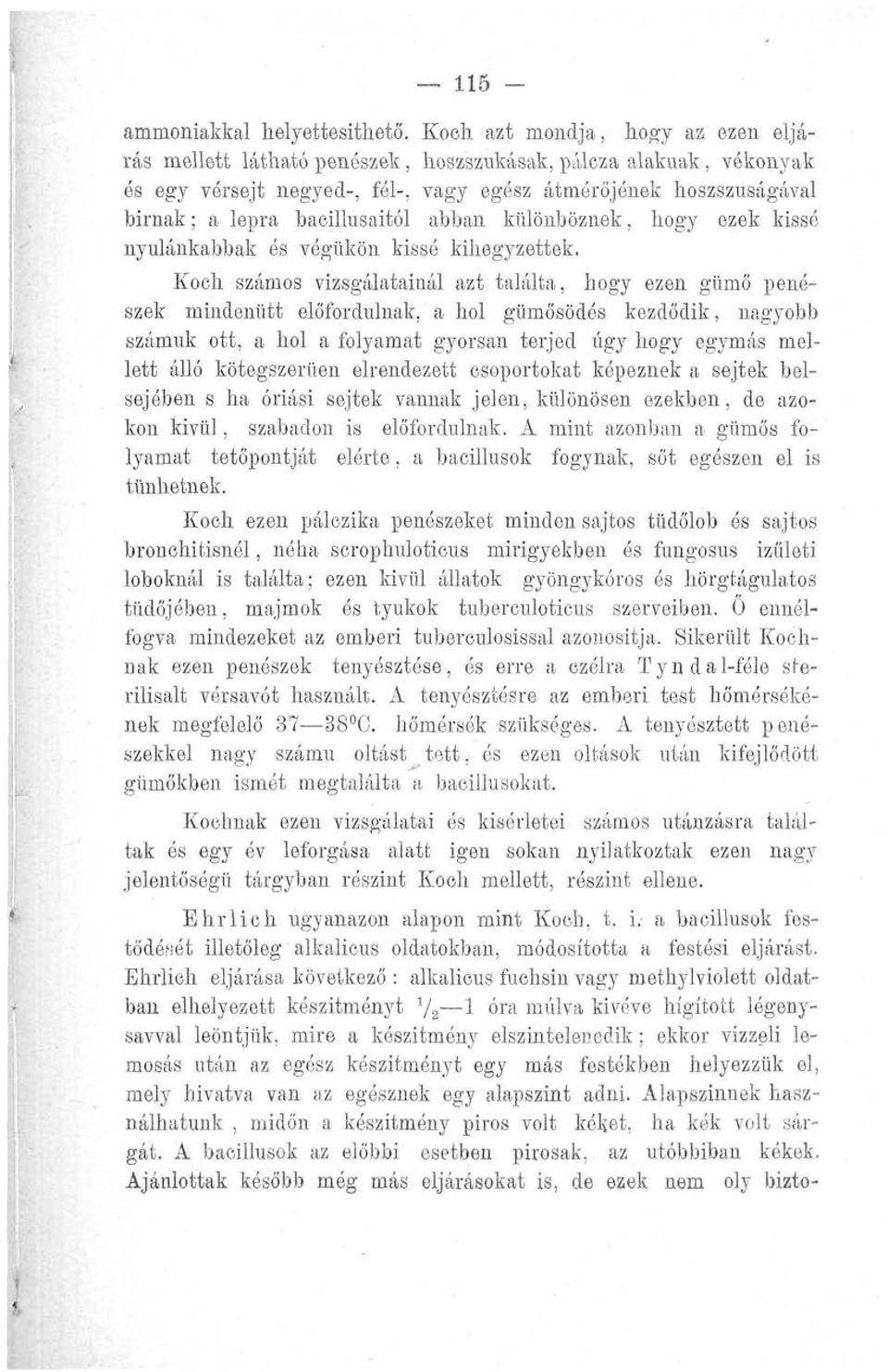 bacillusaitól abban különböznek, hogy ezek kissé nyúlánkabbak ós végükön kissé kihegyzettek.