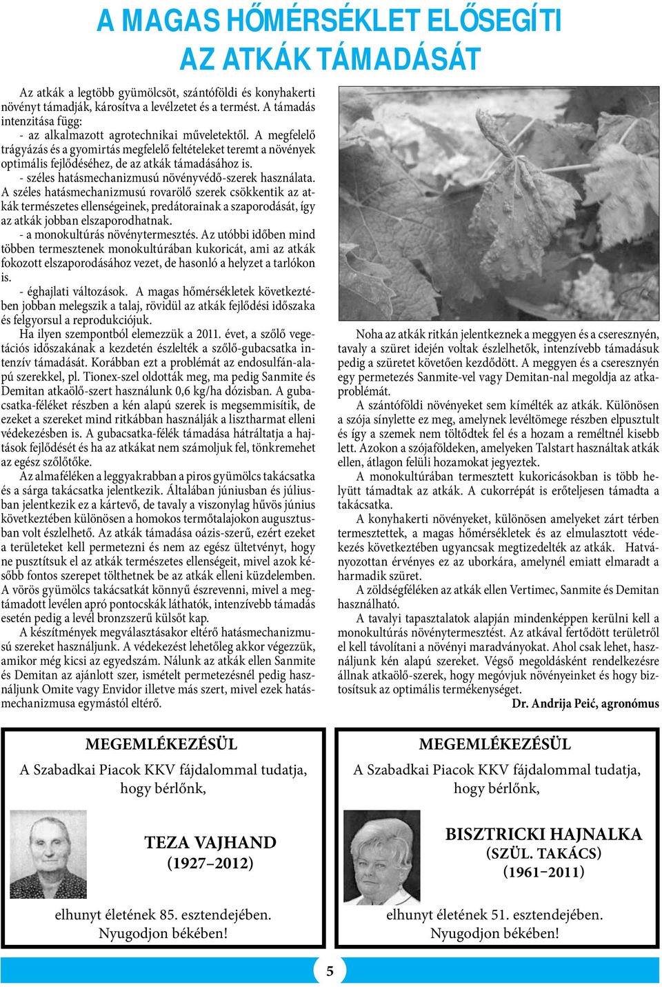 A megfelelő trágyázás és a gyomirtás megfelelő feltételeket teremt a növények optimális fejlődéséhez, de az atkák támadásához is. - széles hatásmechanizmusú növényvédő-szerek használata.