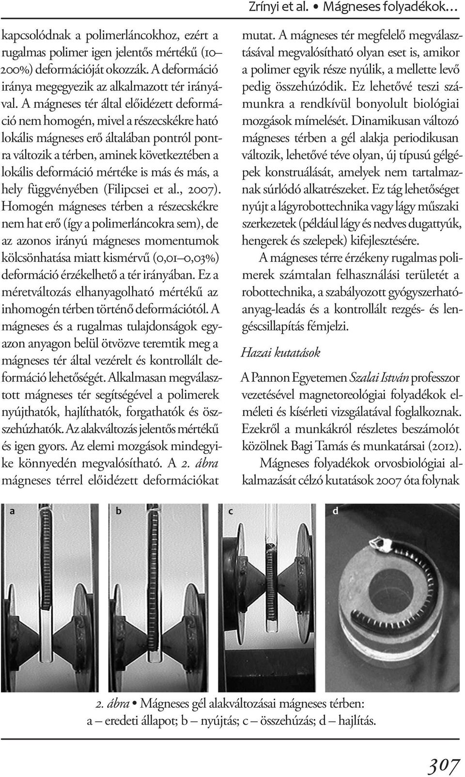 A mágneses tér által előidézett deformáció nem homogén, mivel a részecskékre ható lokális mágneses erő általában pontról pontra változik a térben, aminek következtében a lokális deformáció mértéke is