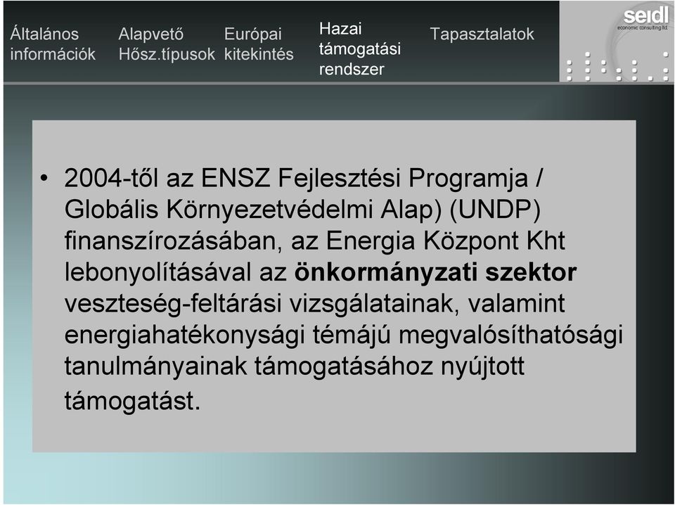 önkormányzati szektor veszteség-feltárási vizsgálatainak, valamint