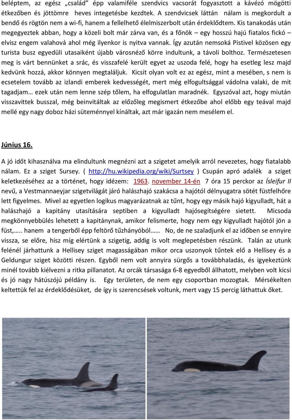 Kis tanakodás után megegyeztek abban, hogy a közeli bolt már zárva van, és a főnök egy hosszú hajú fiatalos fickó elvisz engem valahová ahol még ilyenkor is nyitva vannak.