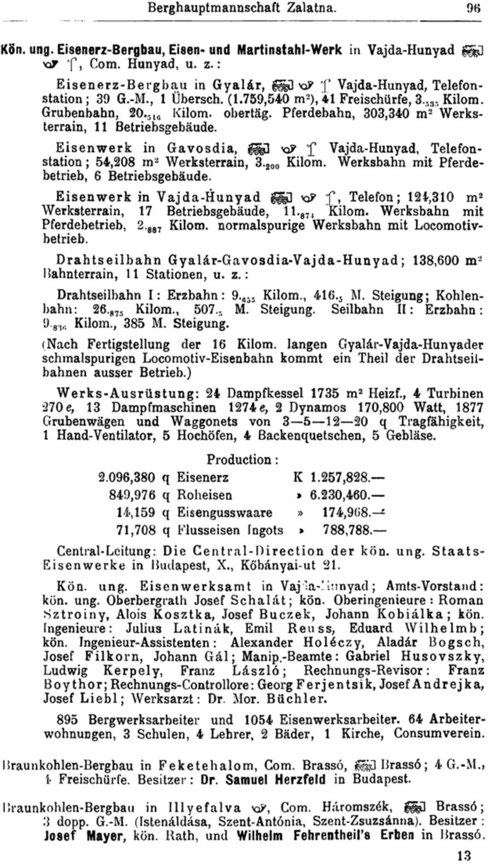 Pferdebahn, 303,340 m 2 Werksterrain, 11 Betriebsgebäude. Eisenwerk in Gavosdia, g^d xp f Vajda-Hunyad, Telefonstation ; 54,208 m 2 Werksterrain, 3. 200 Kilom.