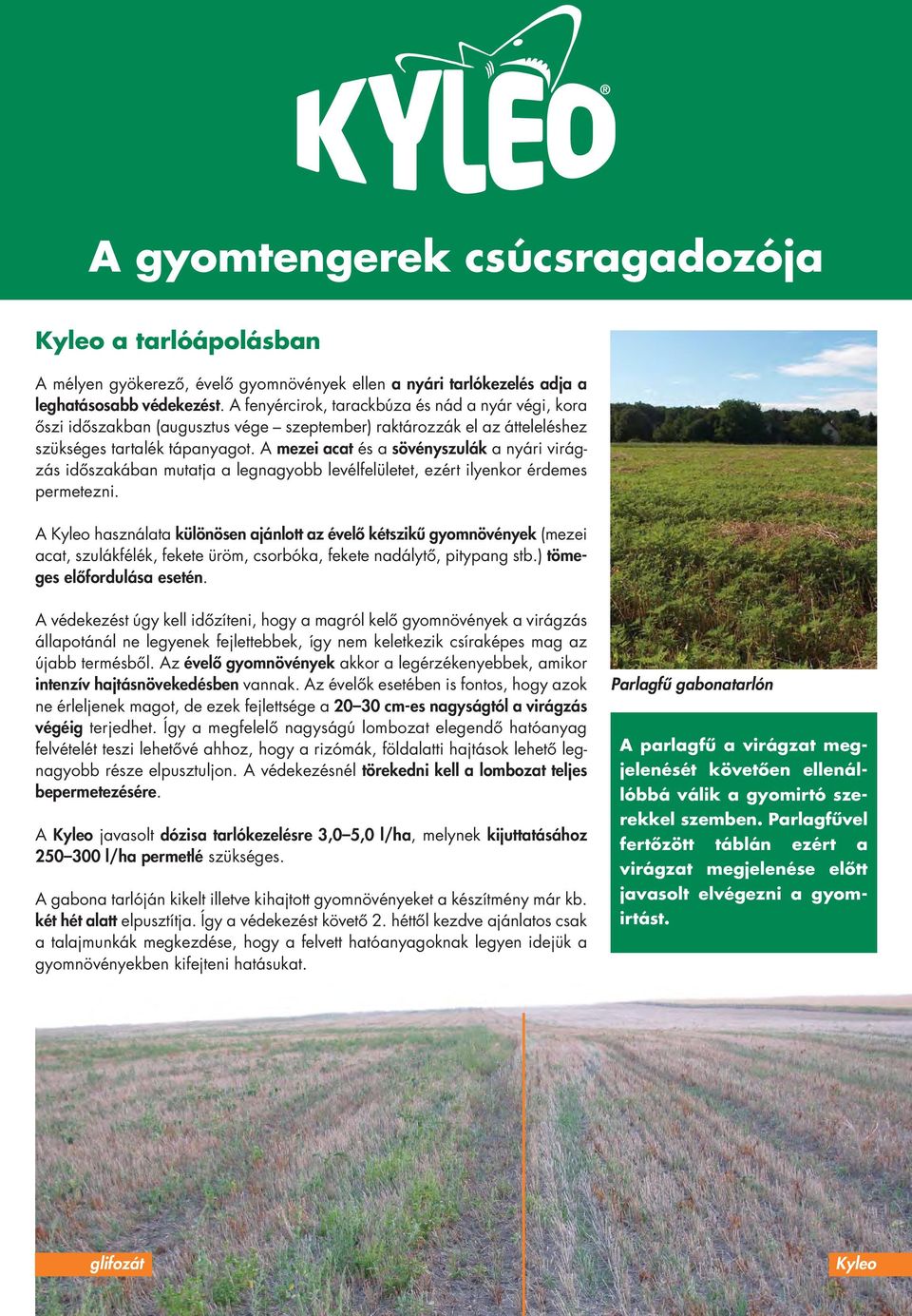 Két hatóanyagot tartalmazó, totális hatású, innovatív gyomirtó szer - PDF  Free Download