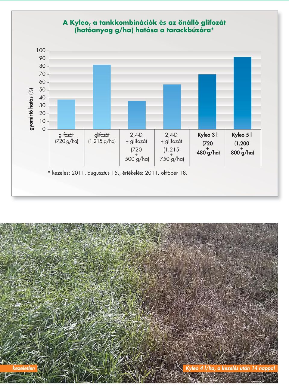 215 g/ha) 2,4-D + (720 + 500 g/ha) 2,4-D + (1.