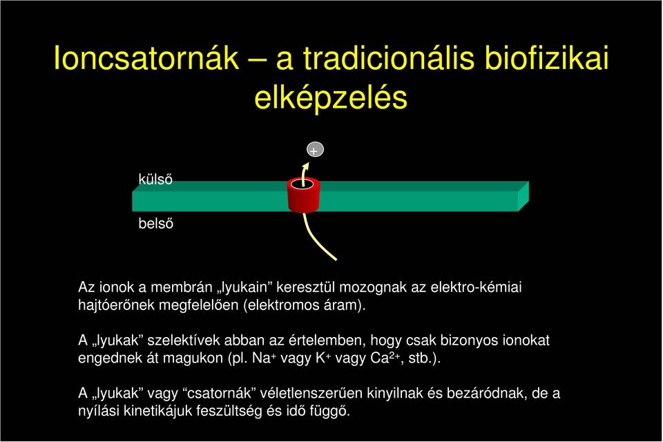 A lyukak szelektívek abban az értelemben, hogy csak bizonyos ionokat engednek át magukon (pl.